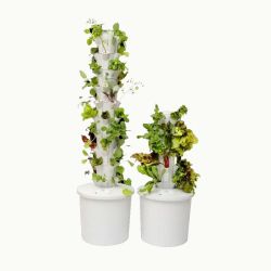 Hydroponic Vertical garden