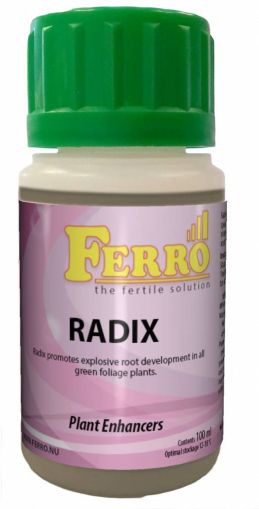 Ferro Radix 60мл.