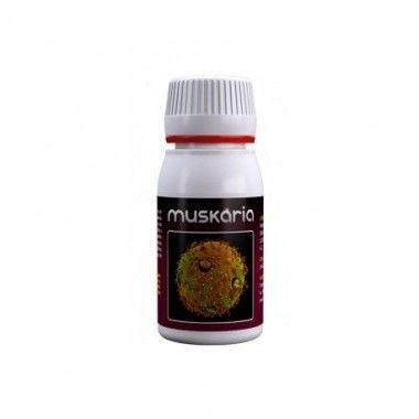 Muskaria 60ml