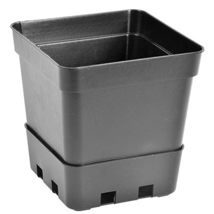 Square Pot 1L 