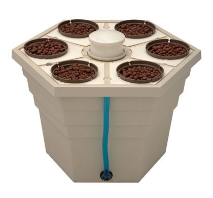 GHE - RAINFLOREST 6 INSERT 3INCH POT