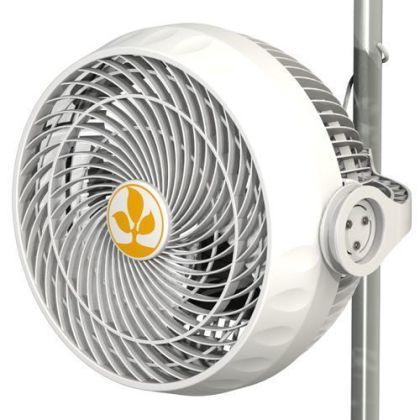 Secret Jardin Monkey Fan Oscillating 20W