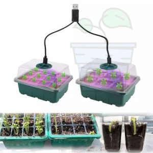 SET of 2 Small Propagator witt LED light 19/15cm.