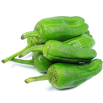 "Padron" Chilly Pepper (Pimientos de Padron)  25 seeds