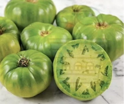 "Green Giant" Green Tomatoes 10 seeds