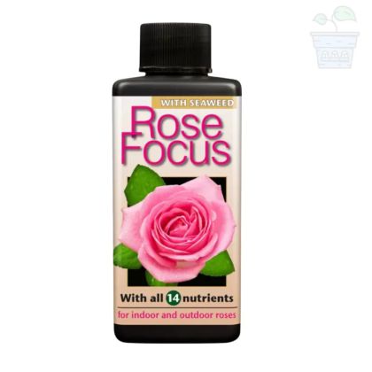 Rose Focus - Fertilizer for Roses 300 ml