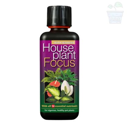 House Plant Focus - Fertilizer for house and indoor plants with 300 ml