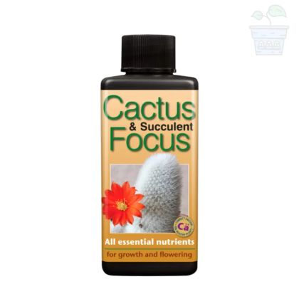 Cactus Focus - Fertilizer for Cactus 300 ml