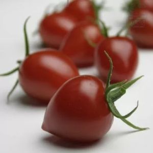 "Gardenberry"  F1 Cherry Tomatoes 10 seeds