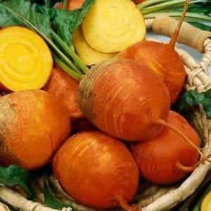 "Golden Detroit" beetroot seeds 300 seeds (±) / 4 gr