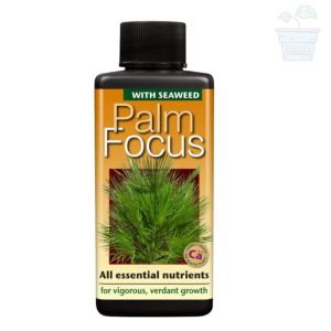 Palm Focus 100 ml