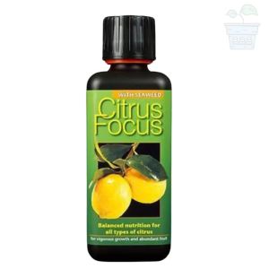 Citrus Focus - Fertilizer for citrus plants 100 ml